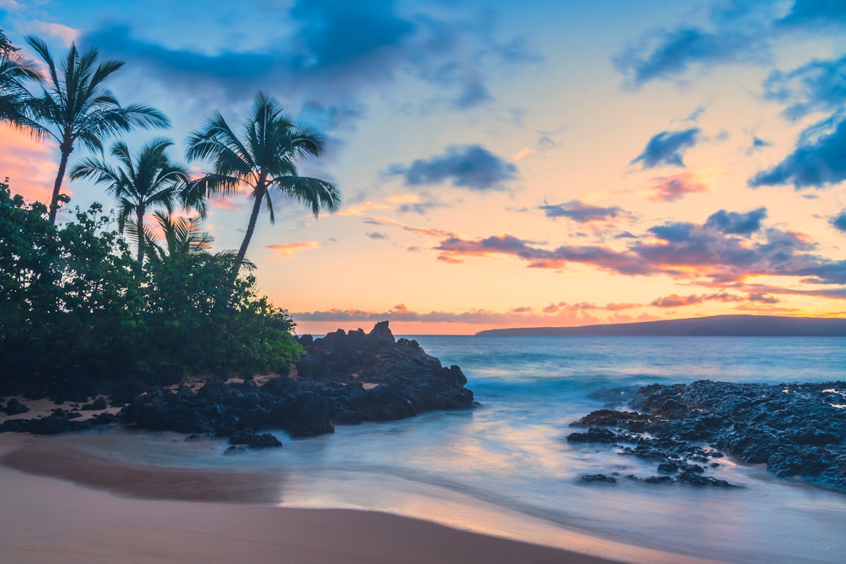 Starlink satellite dish installed on a Hawaii property with volcanic coastline and lush tropical vegetation in the background