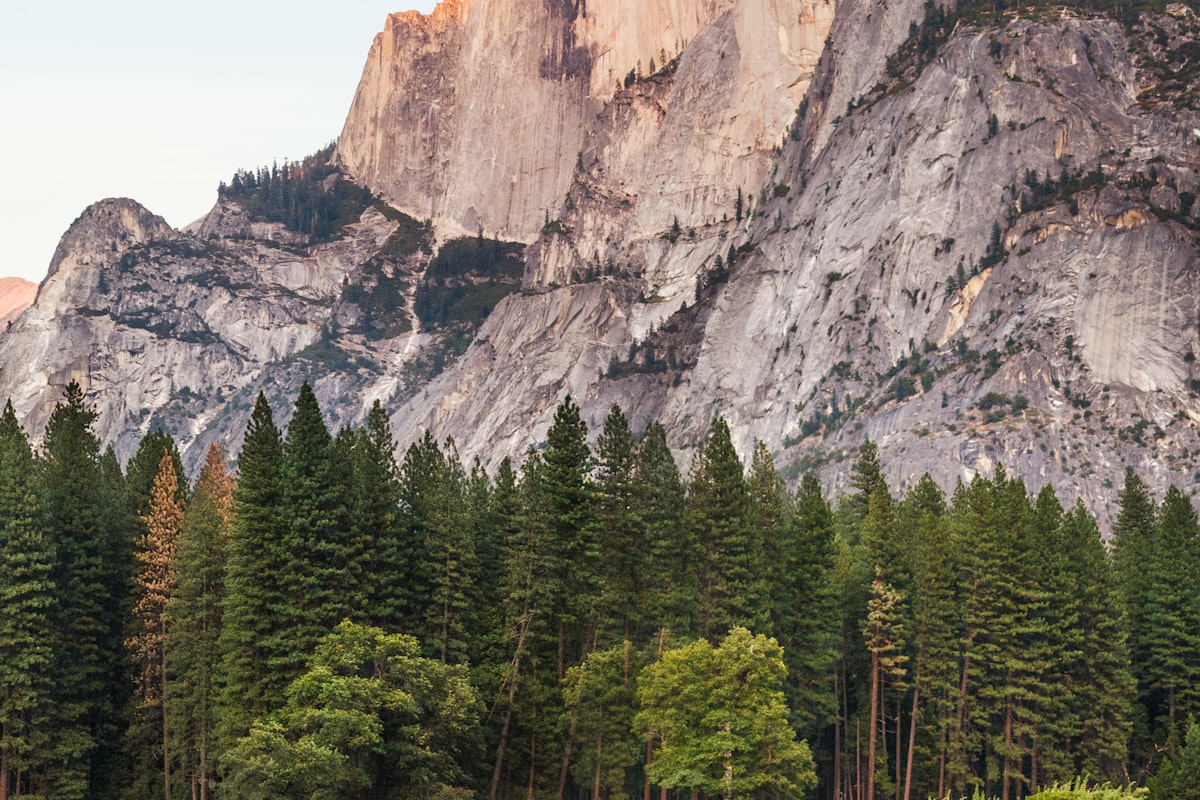 Starlink satellite dish installed on an Idaho property with rugged Sawtooth Mountain peaks and evergreen forests stretching across the horizon