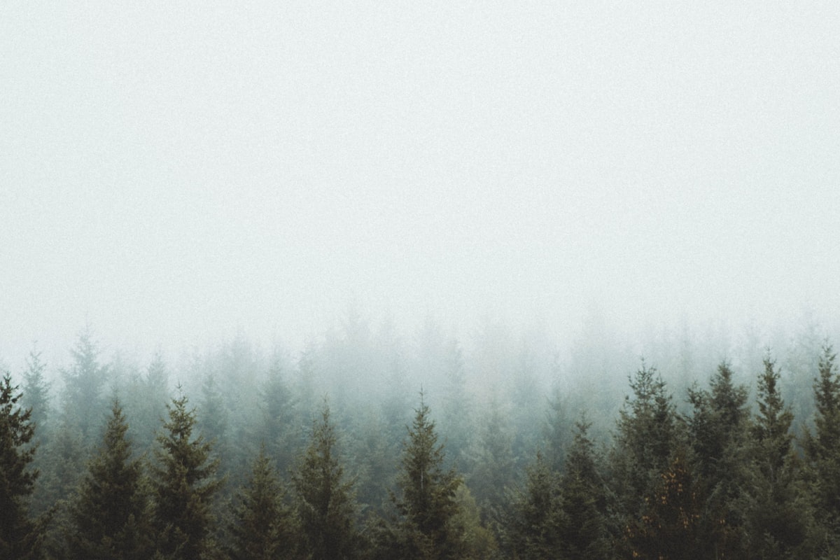 Starlink satellite dish mounted on a Mississippi Delta farmhouse with flat agricultural fields and cypress trees stretching to the horizon